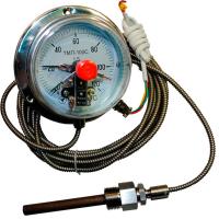 Термометр ТМП-100С фото
