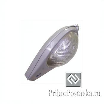 светильник консольный РКУ-125 (Cobra) фото 1