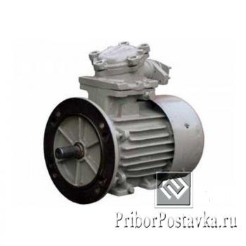 Электродвигатель ВАО5П 560М-6 фото 1
