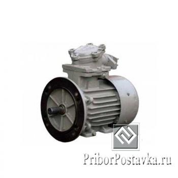 Электродвигатель ВАО5П560М-2 фото 1