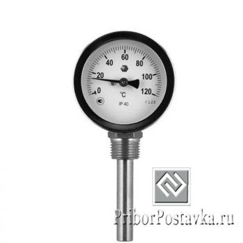 Термометр D63мм/L100мм-Р- ОСНОВА Т.2 фото 1
