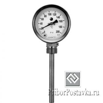 Термометр D63мм/L100мм-Р фото 1