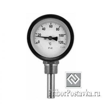 Термометр D63мм/L50мм-Р- ОСНОВА Т.2 фото 1