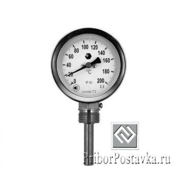 Термометр D63мм/L50мм-Р фото 1