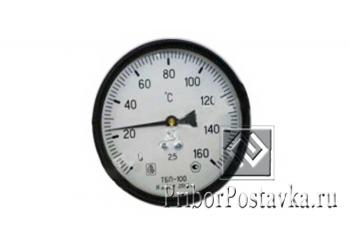 Термометр ТБП 100/100/Р (-0-160)°С фото 1